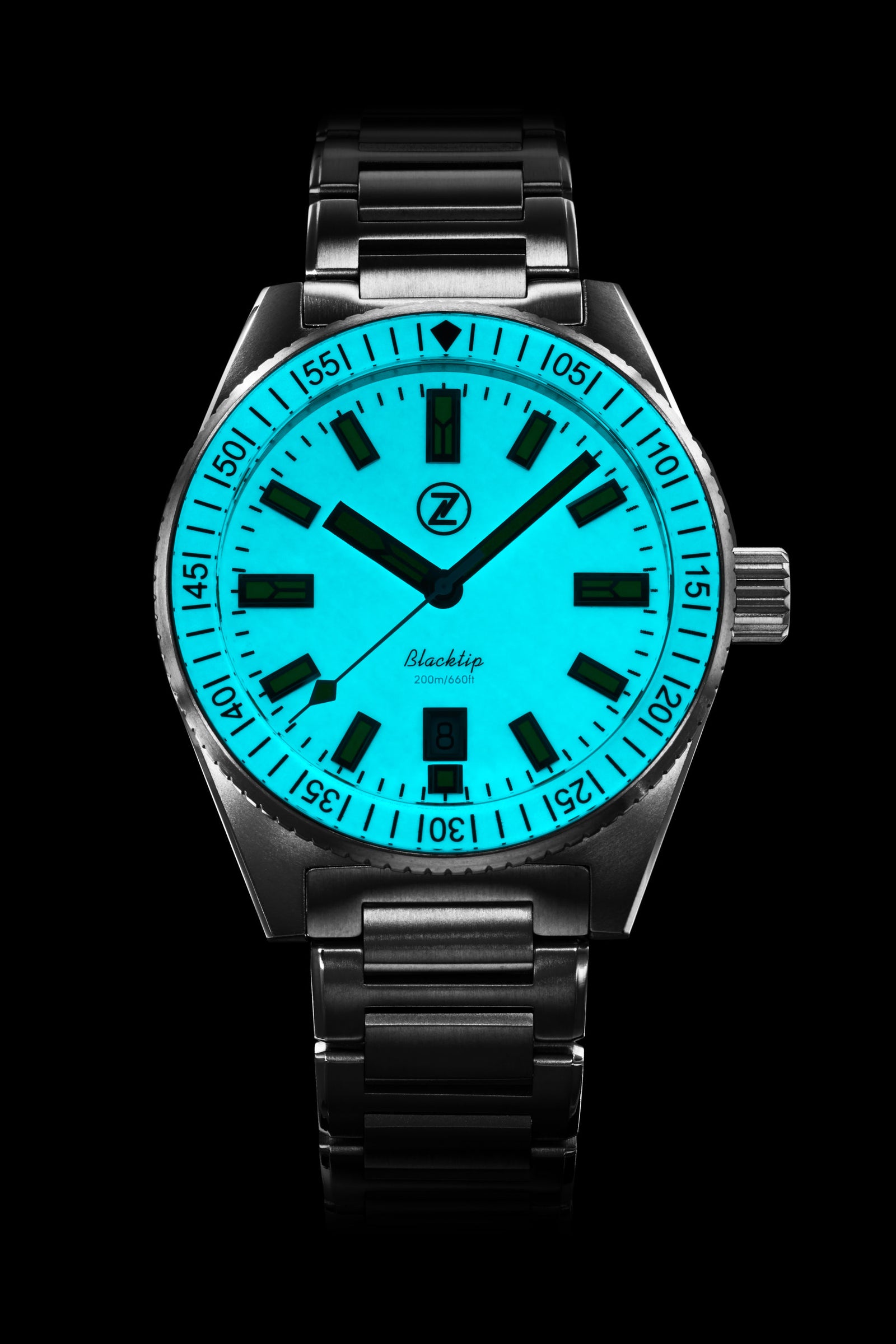 フリスビー Invicta Men's 'Pro Diver' Automatic Stainless Steel Diving Watch